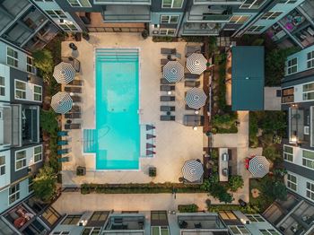 Resort-style saltwater pool with tanning ledge